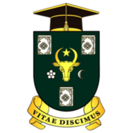 Moodle frecvență de zi